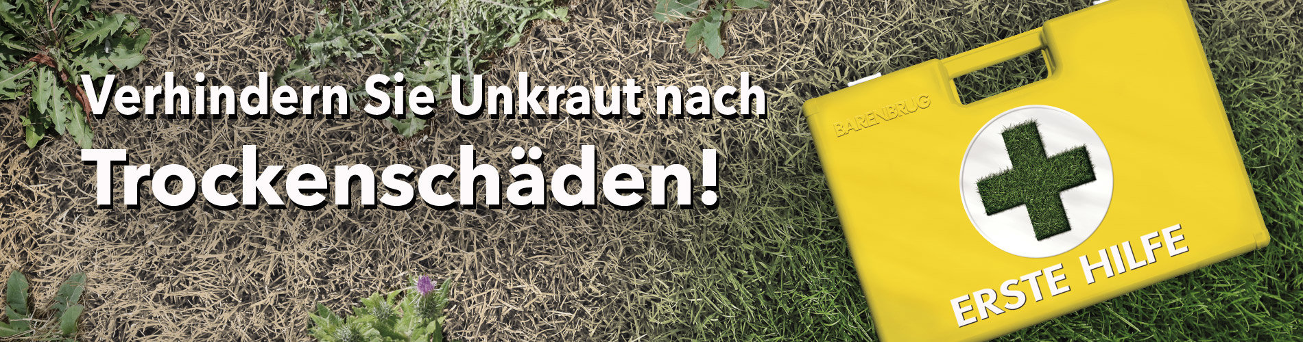 HEADER_DE-First-Aid_Weeds-500.jpg